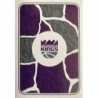 Sale Online Sacramento Kings Logo Sacramento Kings 457 Panini Nba 2024-25