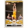 Sale Online NBA Legends Pau Gasol NBA Legends 505 Panini Nba 24-25