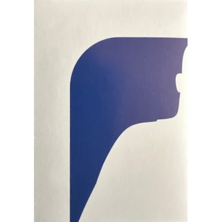 NBA Logo 509