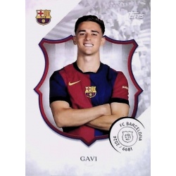 Gavi 8