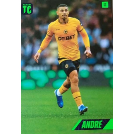 André Wolverhampton Wanderers 63