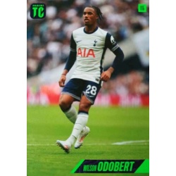 Wilson Odobert Tottenham Hotspur 115