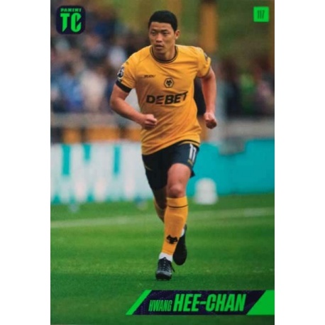 Hwang Hee-Chan Wolverhampton Wanderers 117