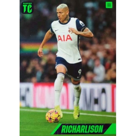 Richarlison Tottenham Hotspur 133