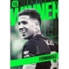 Buy Cards Enzo Fernández Winner Chelsea Panini Fifa Top Class Premier League 2025
