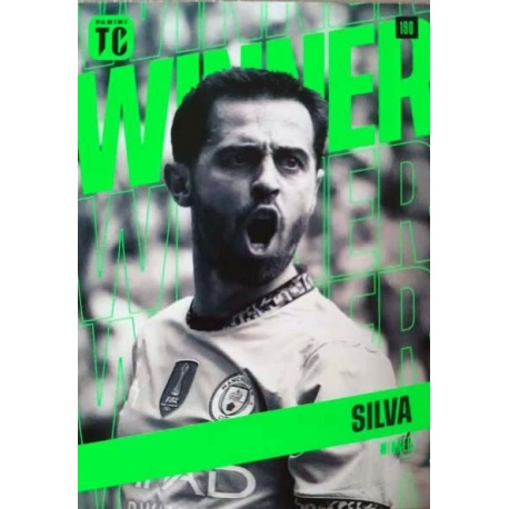 Bernardo Silva Winner Manchester City 190