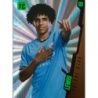 Offer Cards Rico Lewis Future Stars Manchester City Panini Fifa Top Class Premier League 2025