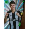 Sale Cards Lewis Miley Future Stars Newcastle United Panini Top Class Premier League 2025 