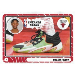 Dalen Terry Sneaker Stars 52
