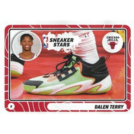 Dalen Terry Sneaker Stars 52