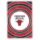 Logo Chicago Bulls 152