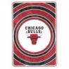 Offer Online Logo Chicago Bulls Panini Nba 23-24