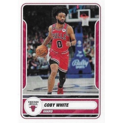 Coby White Chicago Bulls 159