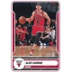 Alex Caruso Chicago Bulls 160