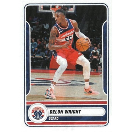 Delon Wright Washington Wizards 291