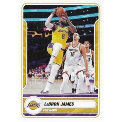 LeBron James LA Lakers 363