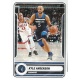 Kyle Anderson Minnesota Timberwolves 396
