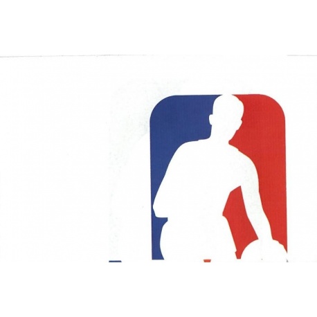 NBA Logo - 1/6 509