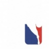 Buy Online NBA Logo - 4/6  Panini Nba 23-24