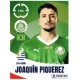 Joaquín Piquerez Palmeiras 7