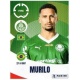 Murilo Palmeiras 8
