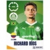 Offer Online Richard Ríos Palmeiras Fifa Club World Cup 2025 Cromos