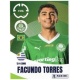 Facundo Torres Palmeiras 15