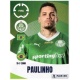 Paulinho Palmeiras 17