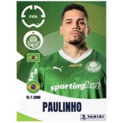 Paulinho Palmeiras 17