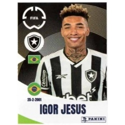 Gregore Botafogo 110