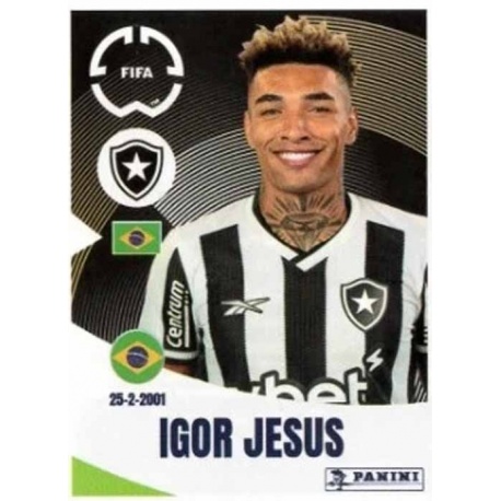 Gregore Botafogo 110