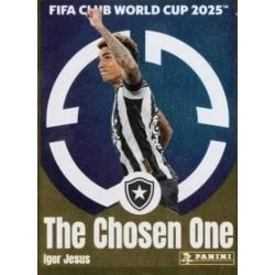 Igor Jesus Botafogo 111