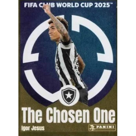 Igor Jesus Botafogo 111