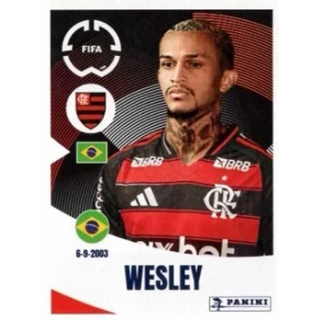 Wesley França Flamengo 196