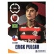 Erick Pulgar Flamengo 201