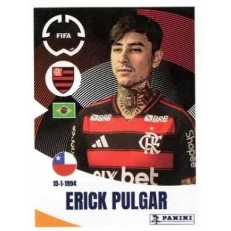 Erick Pulgar Flamengo 201