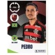 Pedro Flamengo 204