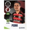 Buy Online Pedro Flamengo Panini Fifa Club World Cup 2025
