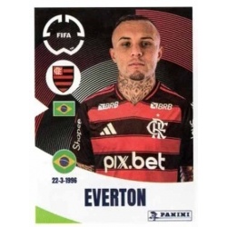Everton Flamengo 206