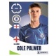 Cole Palmer Chelsea 236