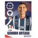 Gerardo Arteaga CF Monterrey 302
