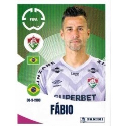 Escudo Fluminense FC 335