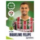 Riquelme Felipe Fluminense FC 350