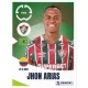 Jhon Arias Fluminense FC 351