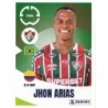 Venta Online Jhon Arias Fluminense FC Panini Fifa Club World Cup 2025