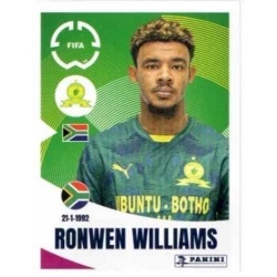 Ronwen Williams Mamelodi Sundowns FC 390