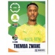 Themba Zwane Mamelodi Sundowns FC 399
