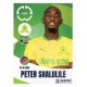 Peter Shalulile Mamelodi Sundowns FC 401