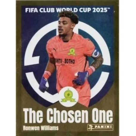 Ronwen Williams The Chosen One Mamelodi Sundowns FC 403