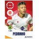 Pedrinh Wydad AC 438